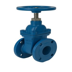 Gate Valve