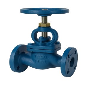 Globe Valve
