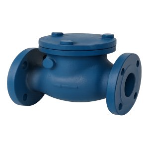 Check Valve